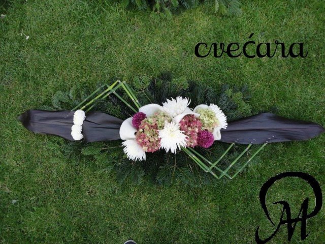 primula 3
